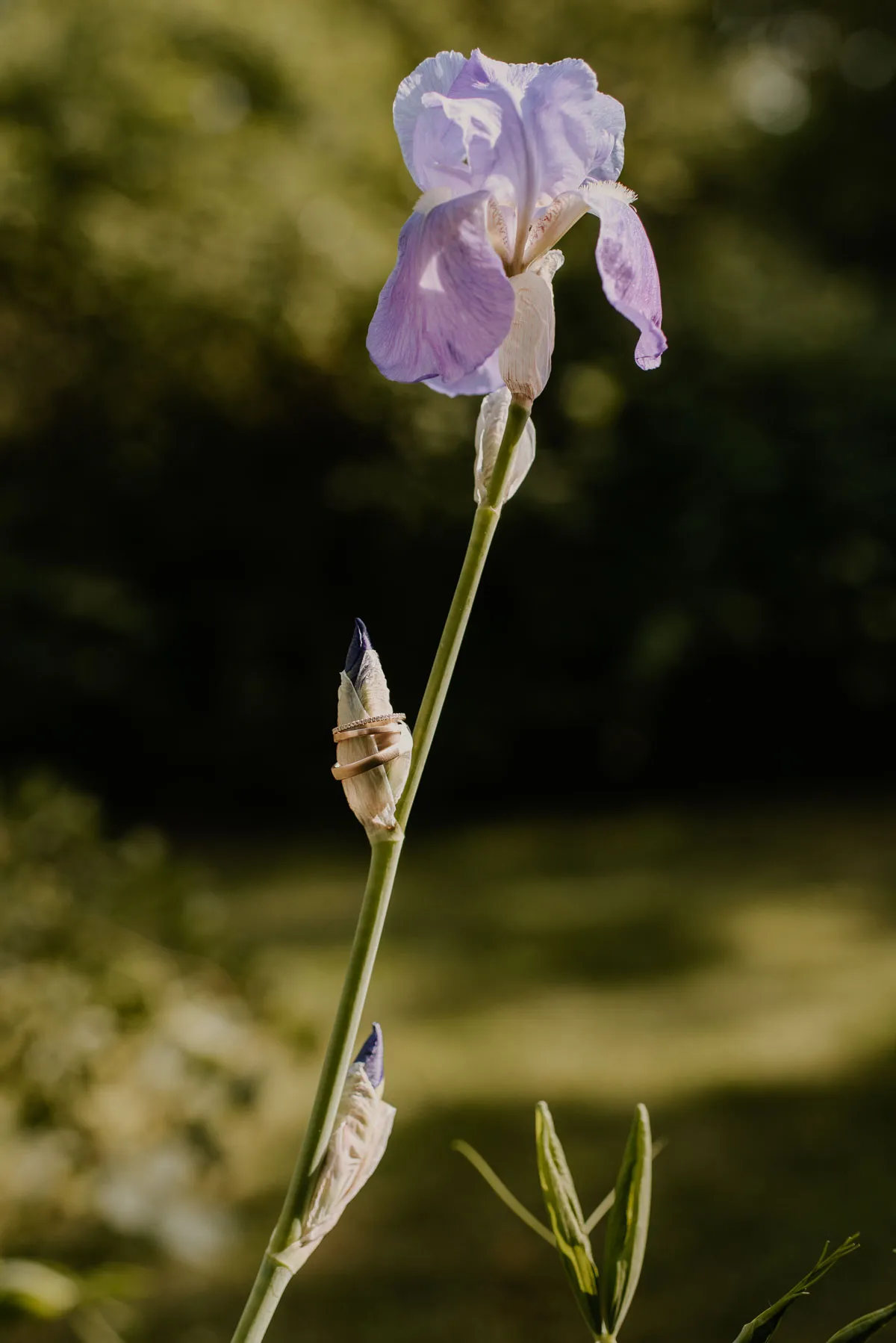 Hochzeitsfotografin_Thueringen_Paare-100
